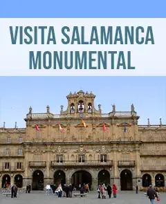 Vista Salmanca Monumental